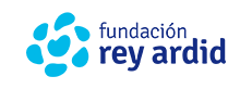 Fundación Rey Ardid web